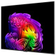 фото Телевизор  LG OLED55G6RLA.ARUG