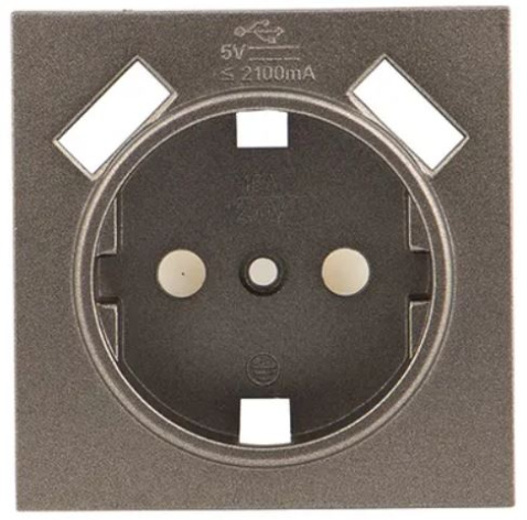 фото Накладка розетки с заземлением с 2 USB  EKF ESR16-L-028-40-2USB в Омске