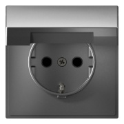фото Розетка с заземлением Systeme Electric GAL000946