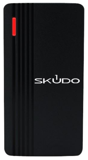 фото Считыватель  Skudo SK-RP100E в Казани