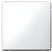 фото Выключатель одноклавишный Systeme Electric GAL000111S