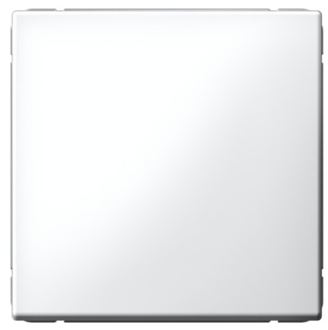 фото Выключатель одноклавишный  Systeme Electric GAL000111S в Красноярске