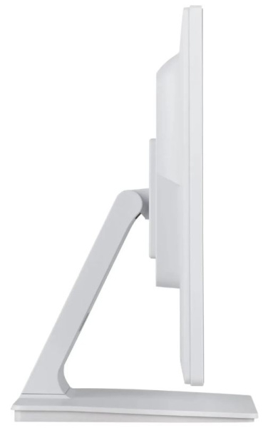 фото Монитор 23,8" Iiyama PROLITE T2452MSC-W1 в Екатеринбурге