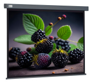 фото Экран Cactus CS-PSW-127X127-SG