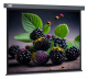 фото Экран Cactus CS-PSW-127X127-SG в Санкт-Петербургe