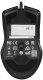 фото Мышь MSI FORGE GM300 в Краснодаре
