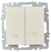 фото Выключатель двухклавишный IEK BR-V15-0-10-K10