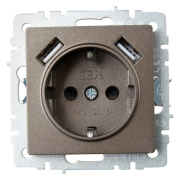 фото Розетка с заземлением IEK BR-R14-16-U21-D21-K45