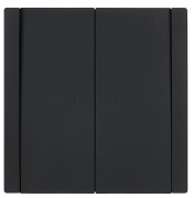 фото Переключатель двухклавишный IEK FP-V22-1-10-1-K02