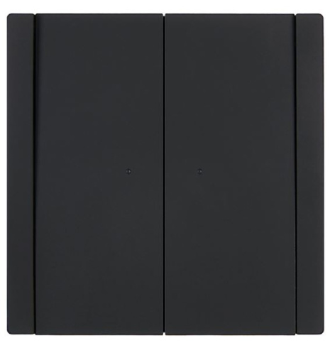 фото Переключатель двухклавишный  IEK FP-V22-1-10-1-K02 в Уфе