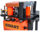 фото Станок Gigant MF171A