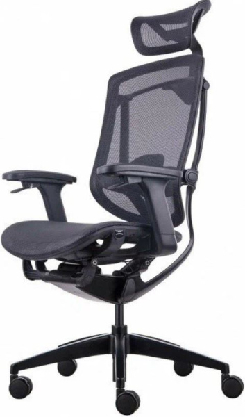 фото Кресло  GT Chair InFlex X в Красноярске