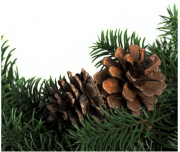 фото Гирлянда NEON-NIGHT 307-144