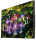 фото Панель LCD  EliteBoard SK495FCLN в Уфе