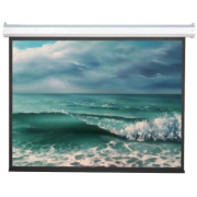 фото Экран Viewscreen Antis EAN-16102