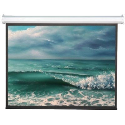 фото Экран  Viewscreen Antis EAN-16102 в Омске