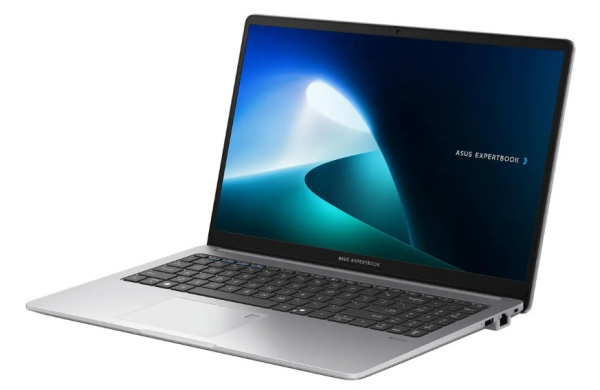 фото Ноутбук  ASUS ExpertBook P1 P1503CVA-I58512BDD 
