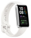 фото Часы  Huawei BAND 10 NOR-B29