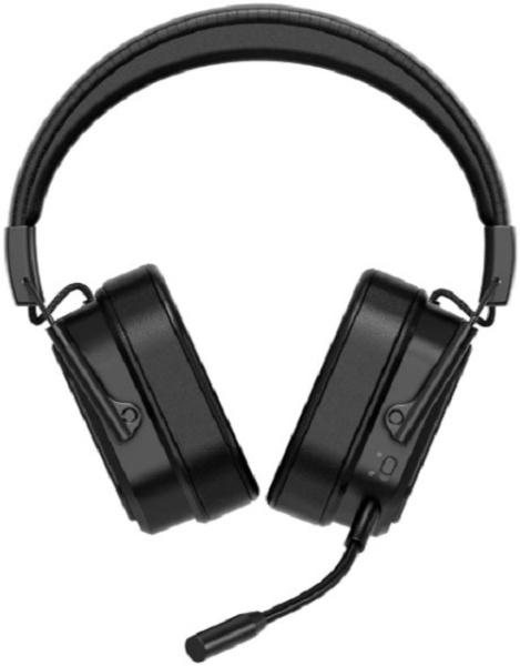 фото Гарнитура wireless Rapoo VH850 в Волгограде