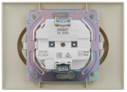 фото Розетка двухместная с заземлением в сборе  IEK SK-R21-16-K10-F