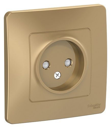 фото Розетка  Systeme Electric BLNRS000114 в Екатеринбурге