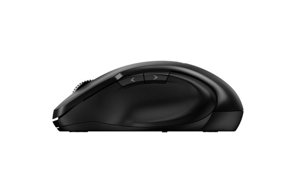 фото Мышь Wireless Genius Ergo 8200S в Екатеринбурге