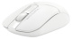 фото Мышь wireless A4Tech Fstyler FB12