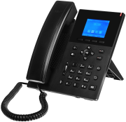 фото Телефон VoiceIP QTECH QIPP-300PG
