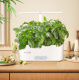 фото Гидропонная установка  Cactus CS-SMARTPOT-11