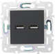 фото Розетка USB  IEK SK-U21-D31-K53 в Казани