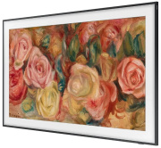 фото Телевизор Samsung QE43LS03DAUXRU