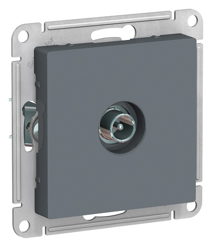 фото Розетка  Systeme Electric ATN000791 в Омске