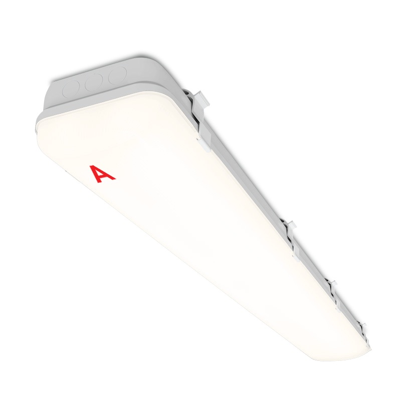 

Светильник аварийного освещения WOLTA STD ДСП11-36-041-4К с БАП (1 час)36Вт 4000К IP65 матовый, ДСП11-36-041-4К