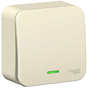 фото Выключатель Systeme Electric BLNVA101112