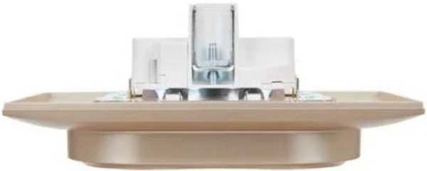 фото Розетка двухместная с заземлением в сборе IEK SK-R21-16-K98-F в Ростове-на-Дону