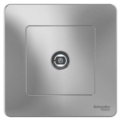 фото Розетка  Systeme Electric BLNTS000013 в Уфе