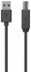 фото Кабель Belkin F3U154BT1.8M в Красноярске