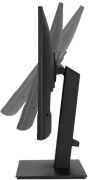 фото Монитор ASUS VA27AQSB