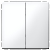 фото Выключатель двухклавишный Systeme Electric GAL000151S