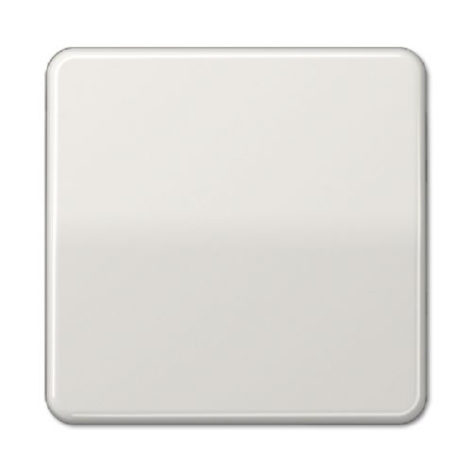 Изображение товара Клавиша Jung CD590LG накладка для выключателя серия CD 500, CD plus