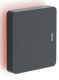 фото Считыватель  Sigur MR100 v.2 Lite