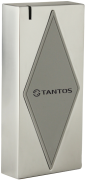 фото Считыватель Tantos TS-RDR-MF Metal