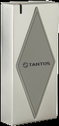 фото Считыватель Tantos TS-RDR-MF Metal