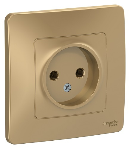 фото Розетка  Systeme Electric BLNRS000014 в Омске