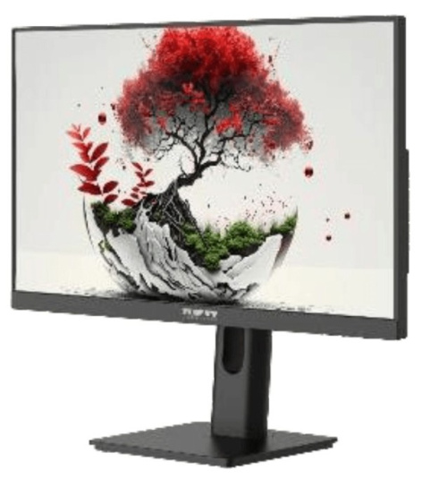фото Монитор 23,8" RDW Computers RDW2401K в Челябинске