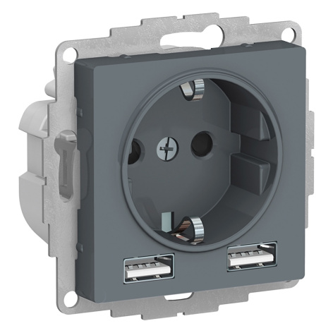 фото Розетка с заземлением с 2 USB  Systeme Electric ATN000730 в Самаре