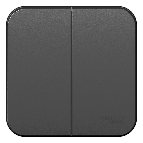 

Выключатель Schneider Electric BLNVA105006 2-клавишный, 10А, 250B Антрацит наруж, BLNVA105006