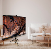 фото Экран Cactus CS-PSTE-160X160-BK