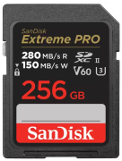 фото Карта памяти SanDisk SDSDXEP-256G-GN4IN
