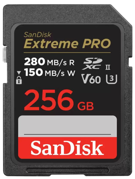 фото Карта памяти SDXC 256Gb SanDisk SDSDXEP-256G-GN4IN в Екатеринбурге